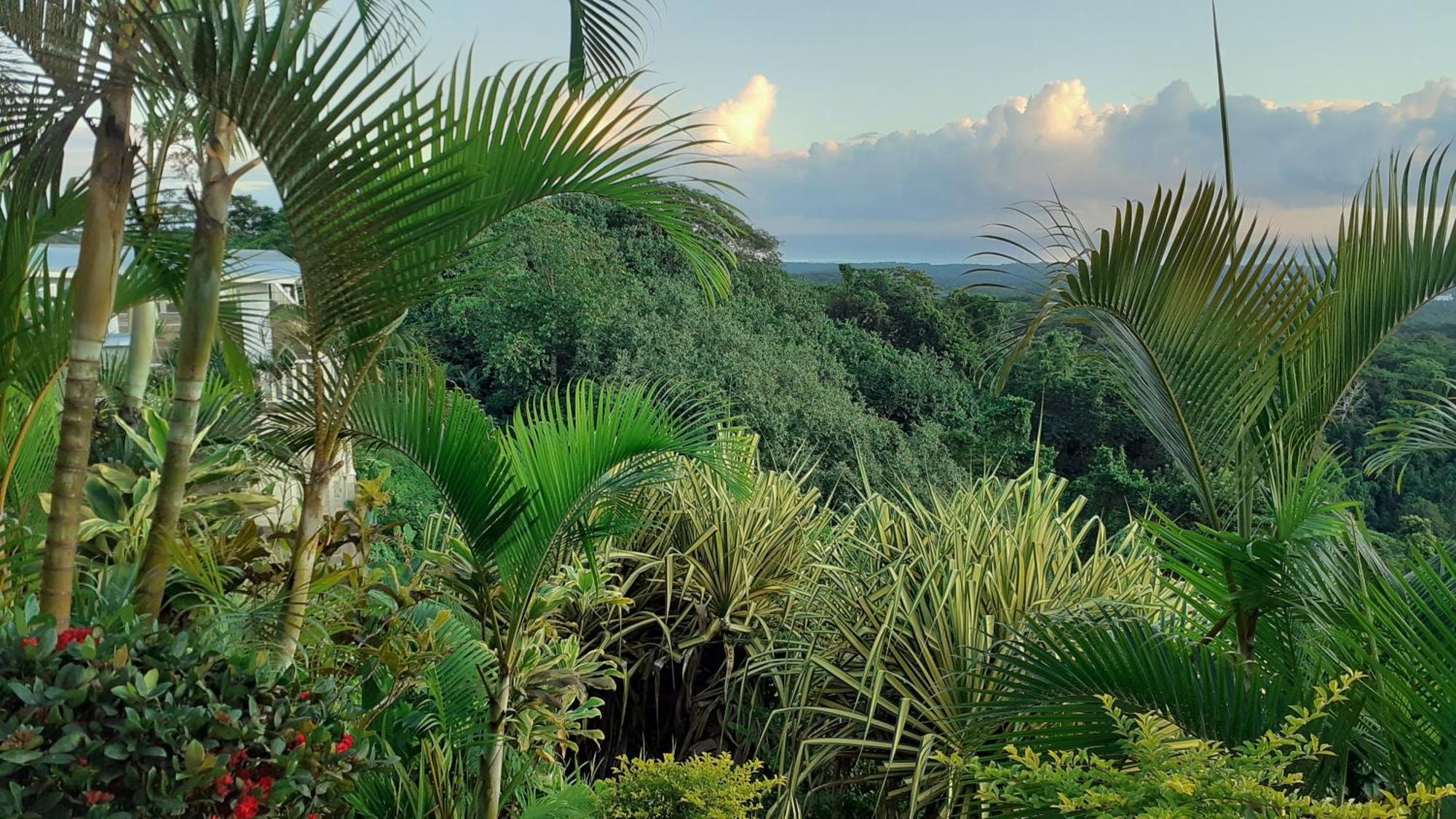 Dave Parker Eco Lodge Hotel Apia Kültér fotó