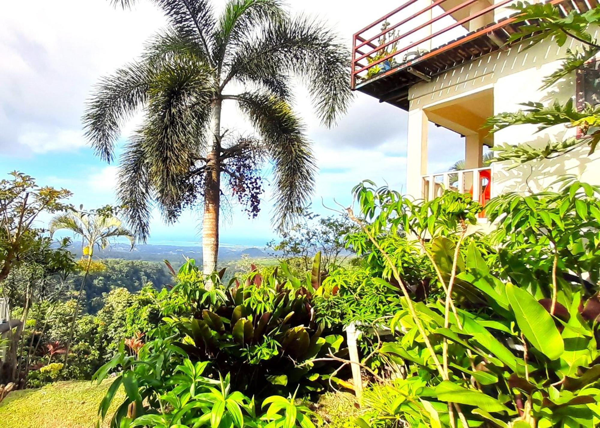 Dave Parker Eco Lodge Hotel Apia Kültér fotó