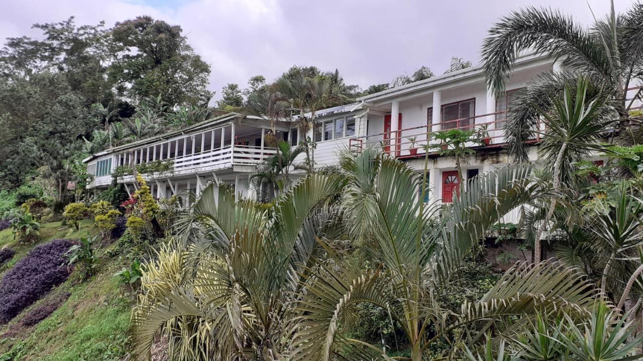 Dave Parker Eco Lodge Hotel Apia Kültér fotó
